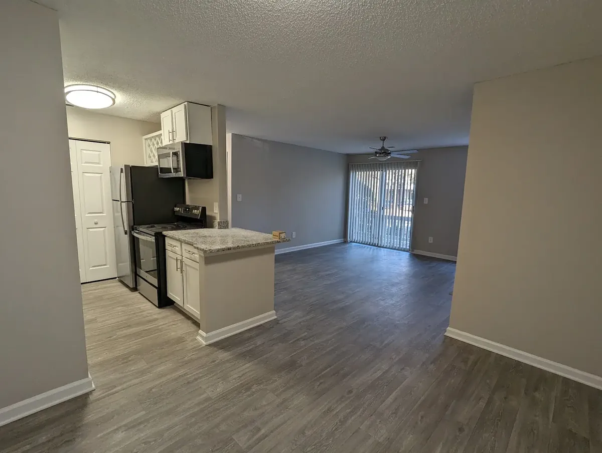 Renovated apartment with new kitchen and flooring