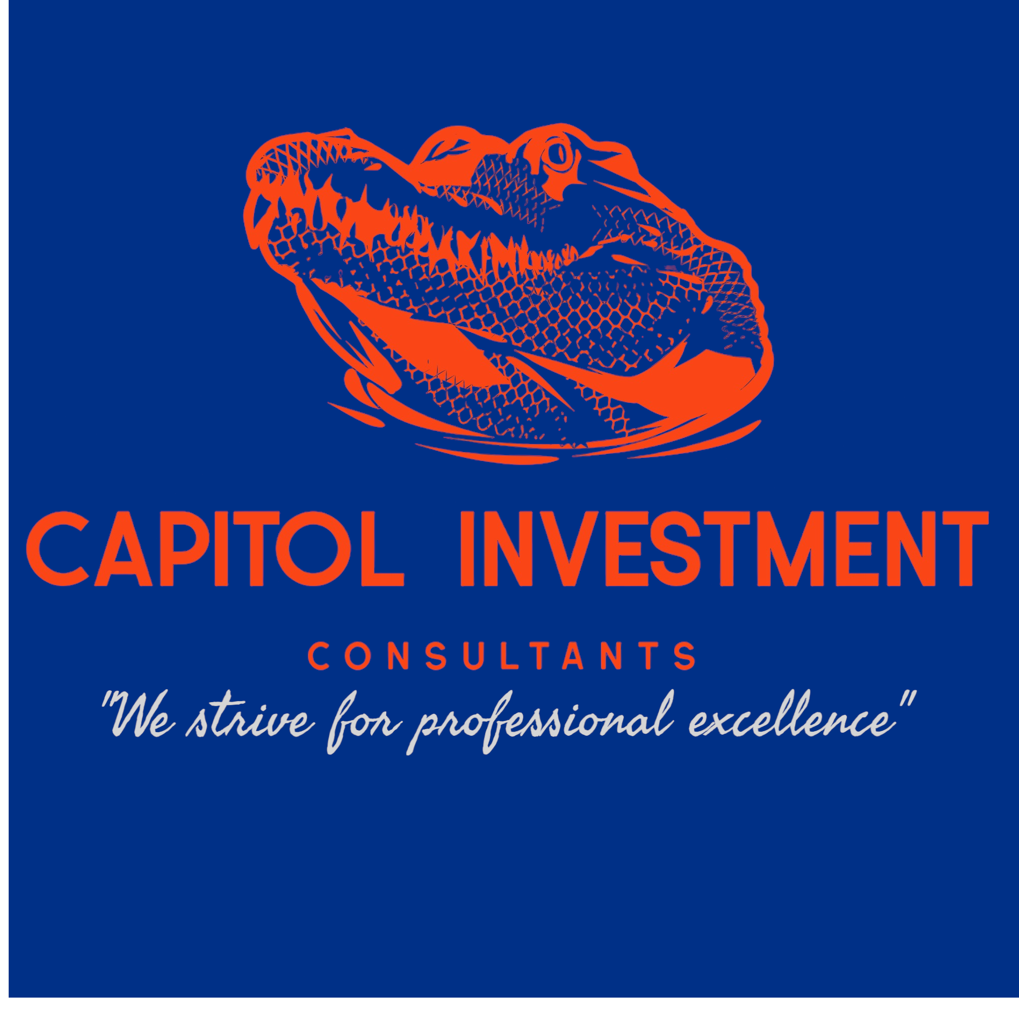Capitol Investment Consultants Capitol Investment Consultants